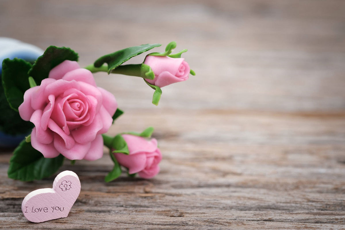 fleurs pour Saint-Valentin Saint-Ephrem